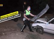 Ereğli’de otomobil refüjdeki ağaca çarptı